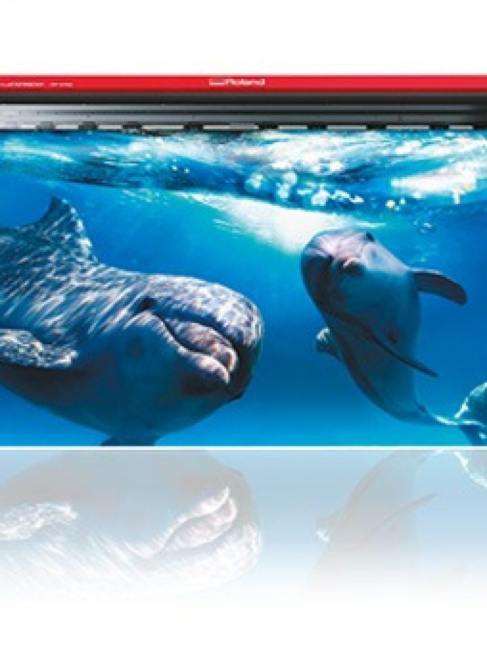 WhatsApp Image 2025-11-22 at 6.11.42 PM